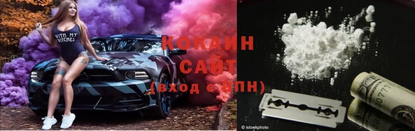 шишки Богородицк