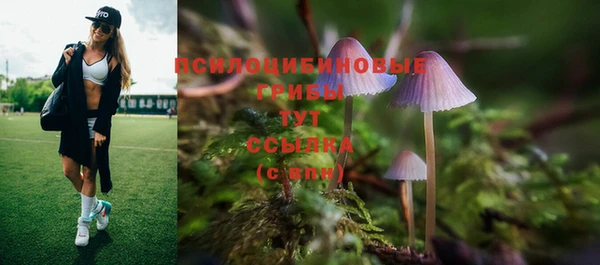 марки lsd Беломорск