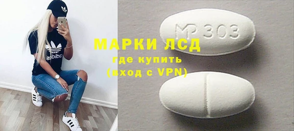 шишки Богородицк