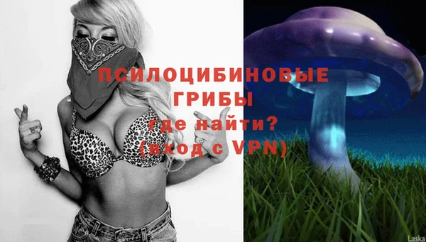 не бодяженный Белокуриха